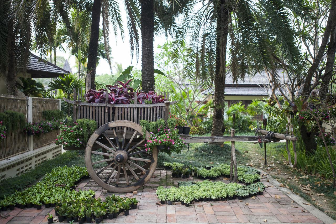 Fanli Resort Chiang Mai Mae Rim Exteriér fotografie